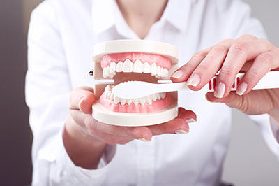 The image shows a person s hand holding a dental model with an open mouth, displaying a set of artificial teeth and gums, against a blurred background that appears to be a professional setting.