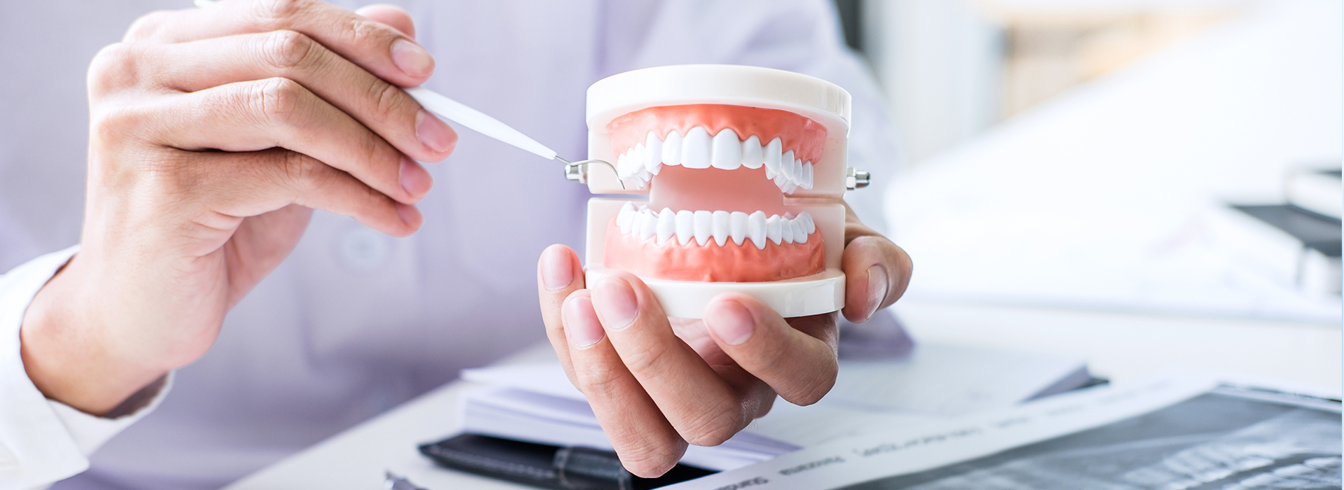 A person s hand holding a toothbrush with toothpaste, while another hand holds a cup displaying a model of teeth and gums.