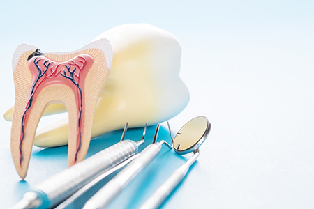Evanston Dental Center